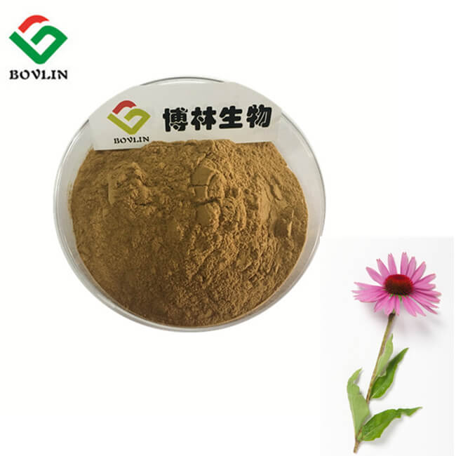 Echinacea-extract